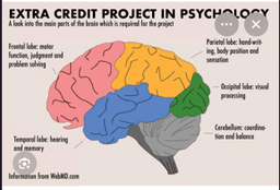 AP- Psychology